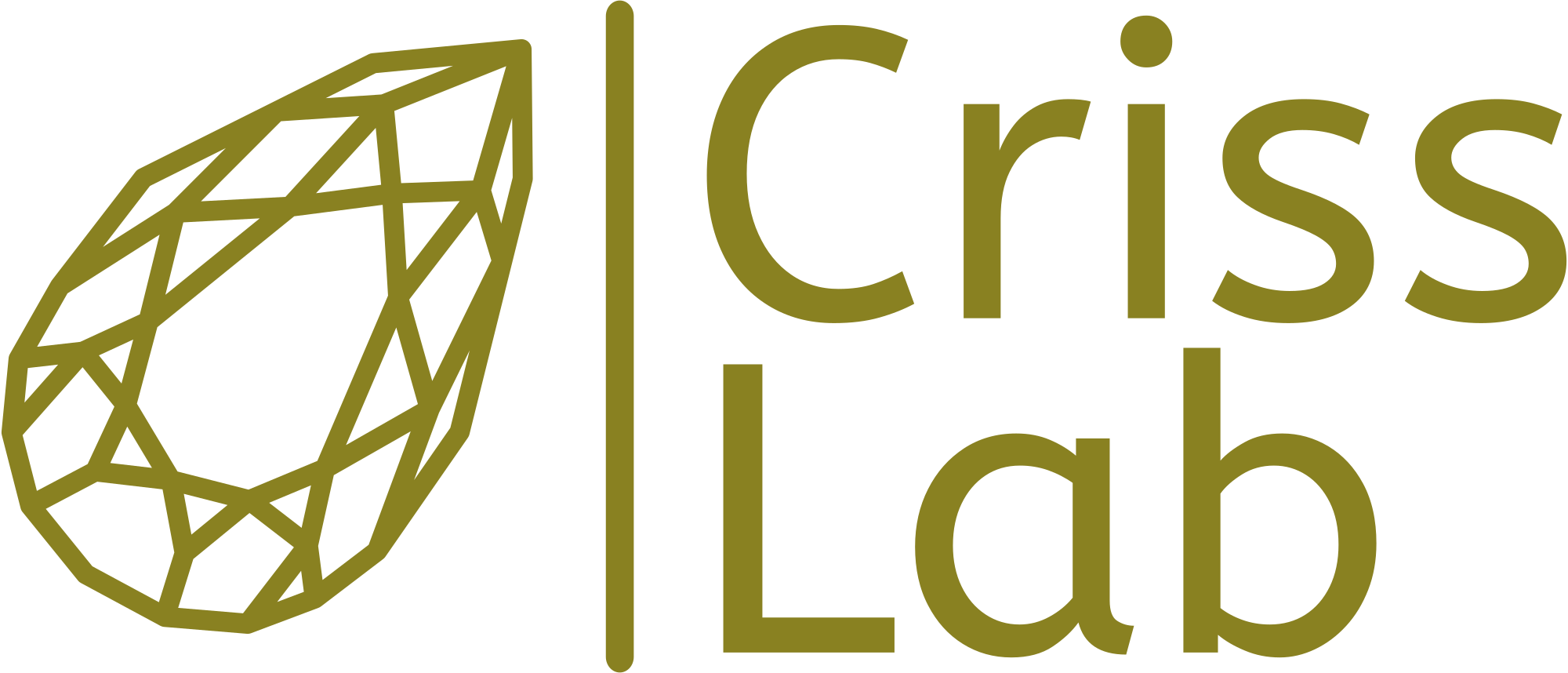 Criss Lab